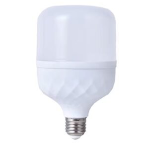 LAMPE E27 55W 6500K ELUZ